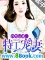 总裁的特工宠妻免费版言情小说在线阅读,第二百四十章-尾声